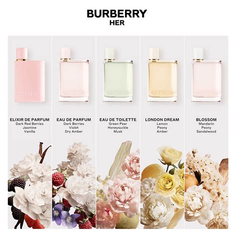 burberry her perfume usa.